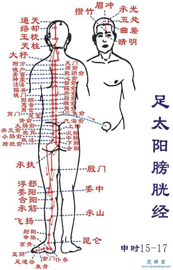 如何利用足太阳膀胱经“生命午夜福利伦伦电影理论片在线观看”提精神，增加健康指数
